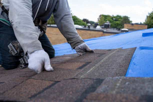 Best Flat Roof Repair Services  in Marquette Heights, IL