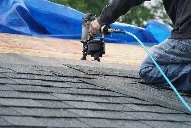 Best Roof Gutter Cleaning  in Marquette Heights, IL